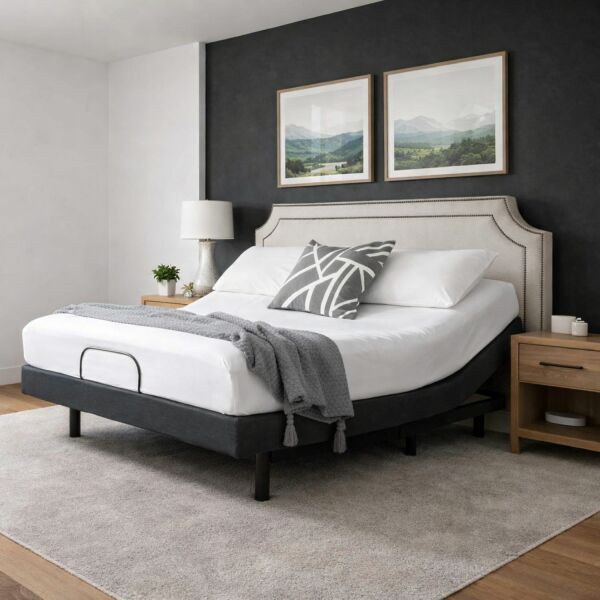 Motion M30 Base- Mazon